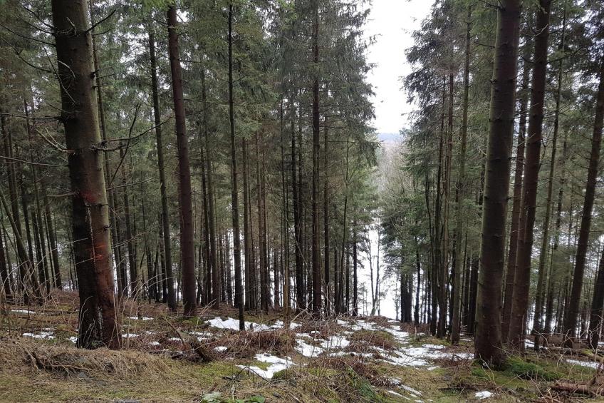 Am Südhang 11 - foto 40