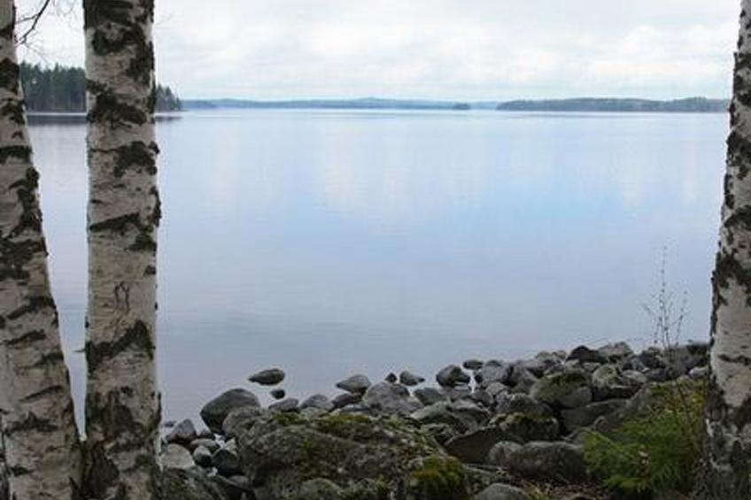 Mäntyniemi, pätiälän kartanon loma-asunn - foto 17