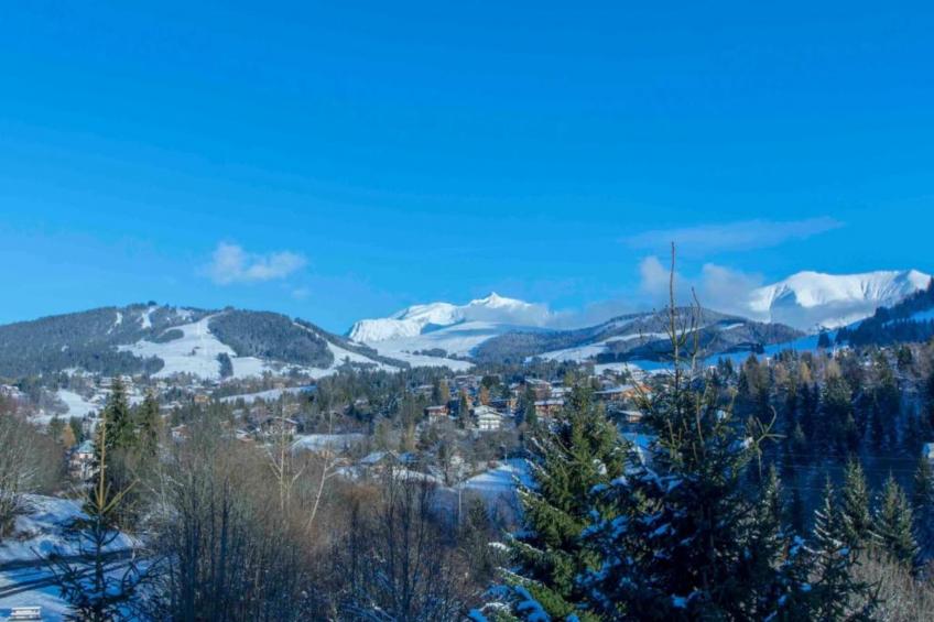 Les Portes de Megève 7 - foto 40