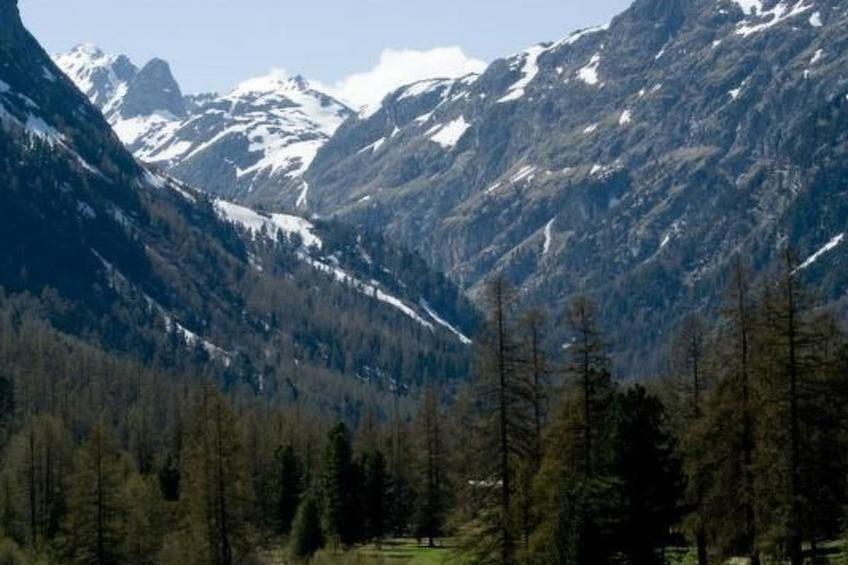 Chesa Filomela - foto 15