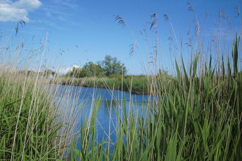 Résidence Marina Corsa in Ghisonaccia - Type C - foto 31