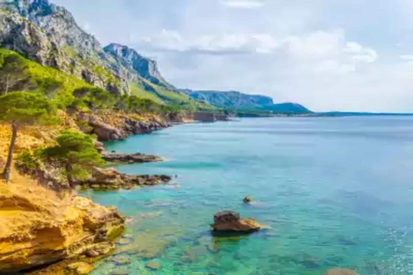 Roser (roser De ArtÀ) - foto 35