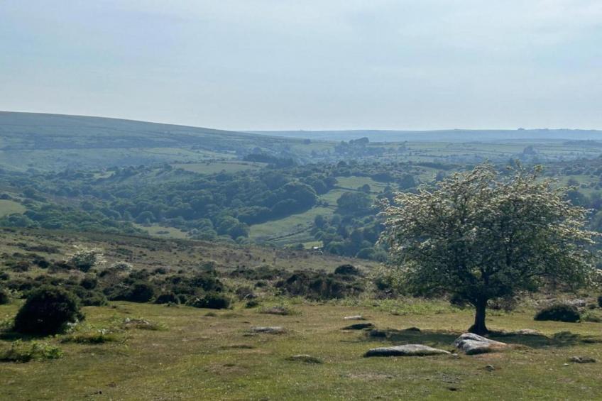 Little Dunley - Acorn Cottage - foto 13