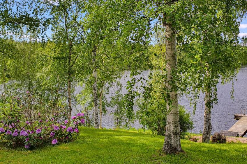 Rinne-expertti - foto 5