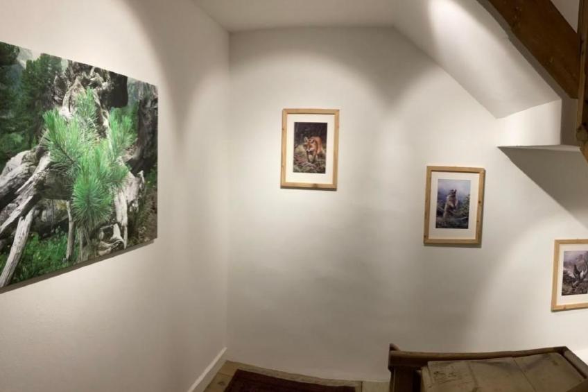 Chesa Robbi S-chanf - foto 27