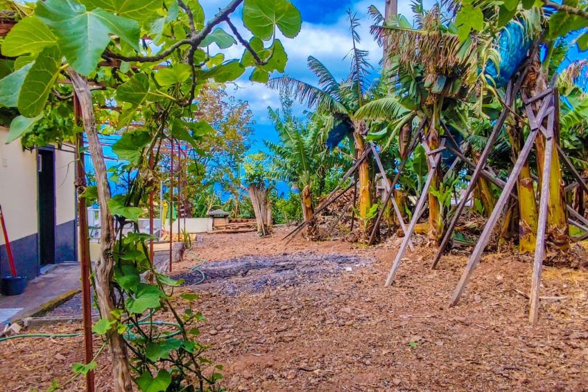 Typische Bauernhof-Wohnung - foto 24