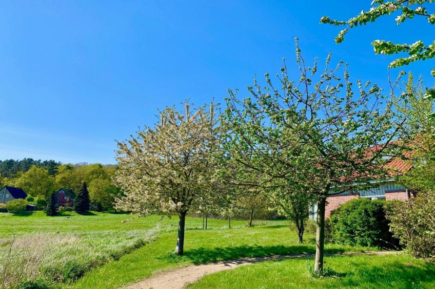 Ferienhaus in Röbel an der Müritz - foto 29