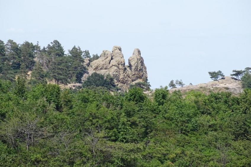 Zur Teufelsmauer - foto 27