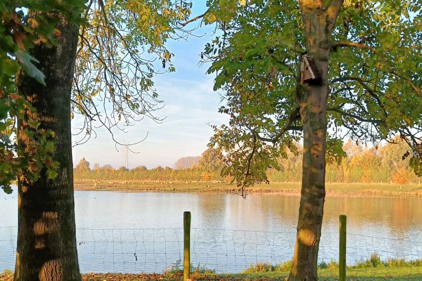 Coproyshof am See - foto 42