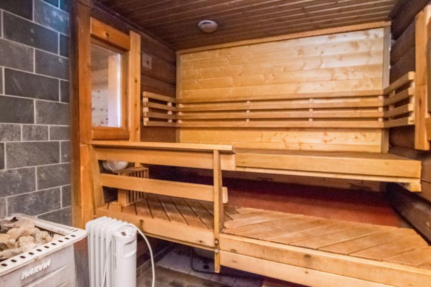 Luhtalemmikki - foto 21