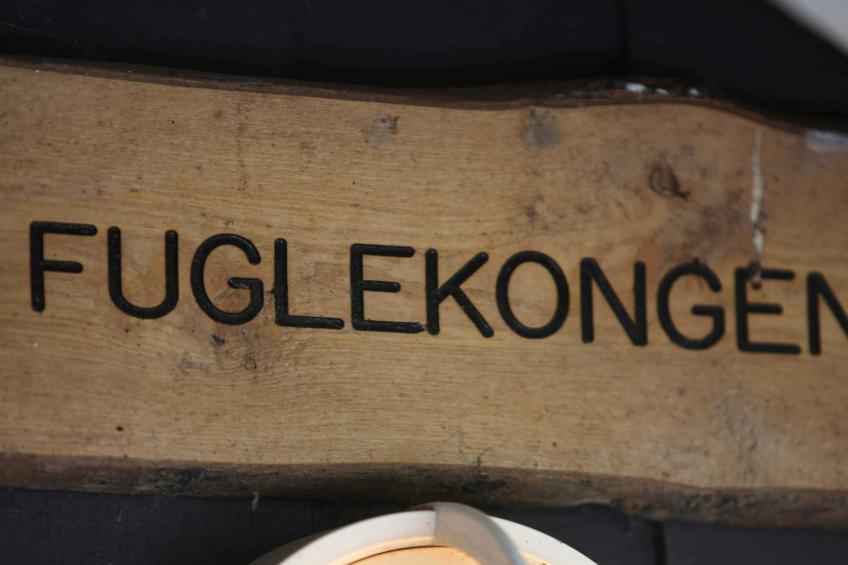 FUGLEKONGEN - foto 34