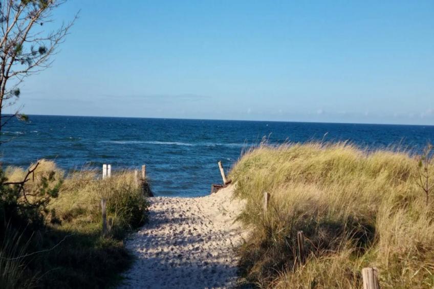 Ferienhaus Küstenwald klein - Strandhotel Fischland - foto 19