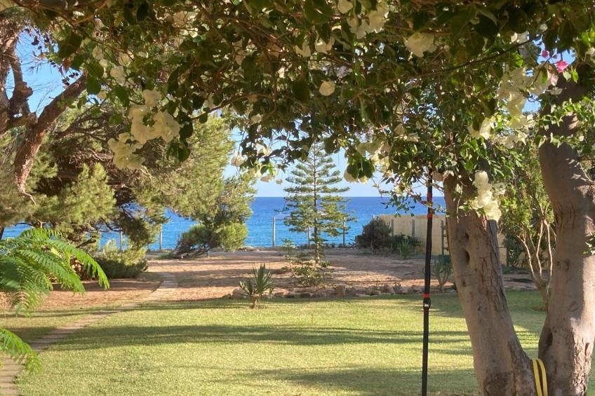 in Vila Baleira mit Garten