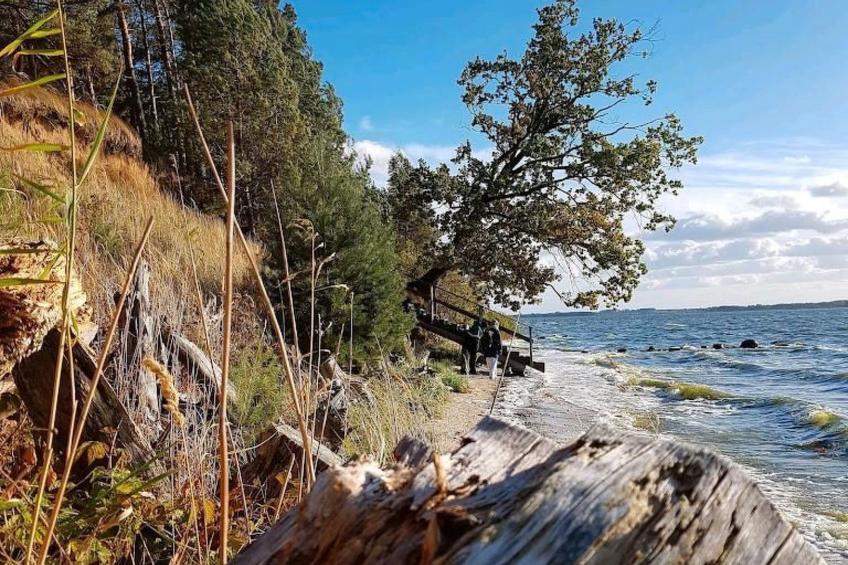 2 Personen  Hund willkommen - foto 13