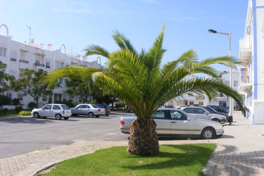 Apartamento Santa Luzia - foto 2