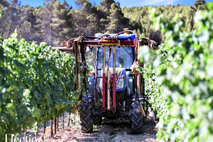 Grande Bastide | Domaine Tour Campanets - foto 74