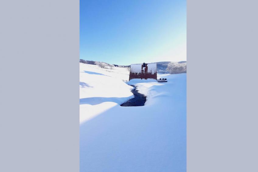 Murmeltier - foto 28