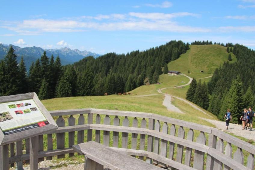 mit Blick auf das Wasser - foto 81