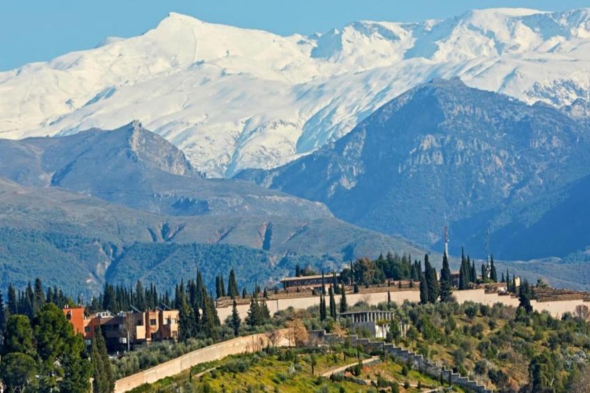 4784-+34616098696 - foto 16