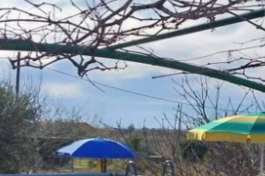 Holiday Home Village Paradise - foto 12