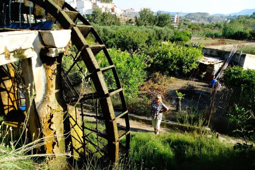 Villa Tres Suertes - foto 40