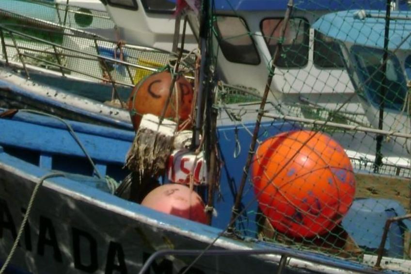 Apart Ria Formosa - foto 13