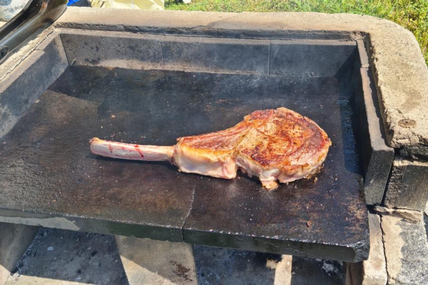 Flache Linde - foto 33