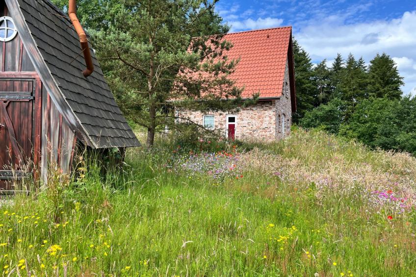 Heidezauber - foto 3