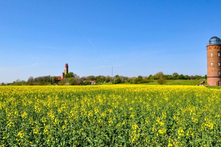 Herzlich willkommen im Ostseehaus am Naturstand - Ostseeblick! - foto 21