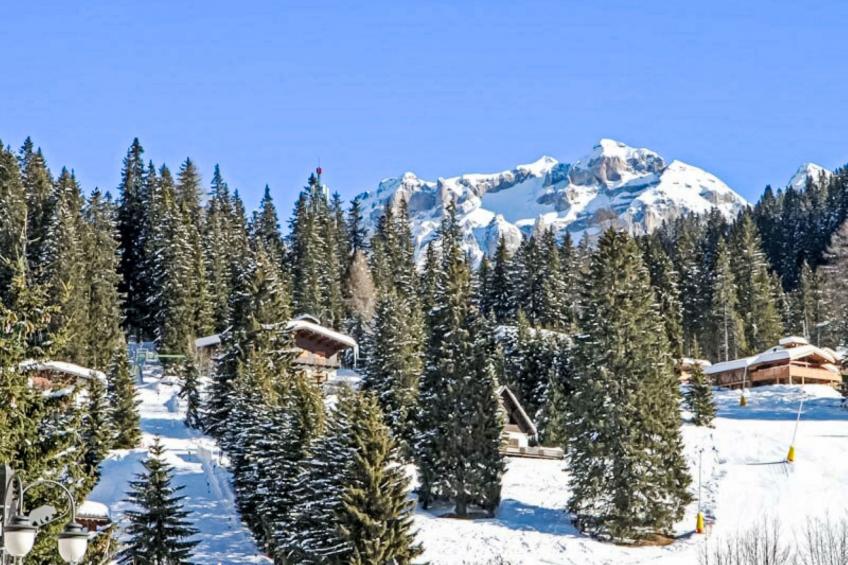 Alpen Nook - Sci e Natura - foto 40