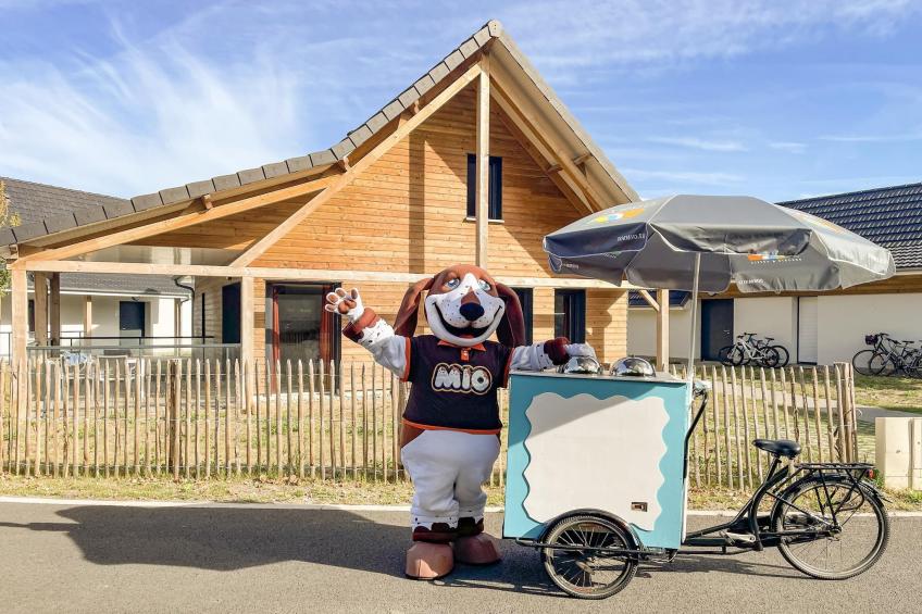 Berck sur Mer 12 - foto 12