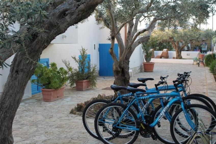 Signorino Resort Studio 4 pax - foto 25