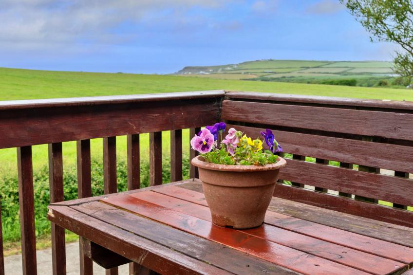 Squire, Quinceborough Farm - foto 2