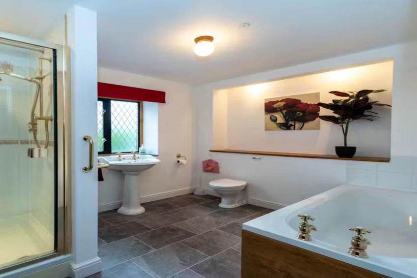 Manor on the Monnow - foto 30