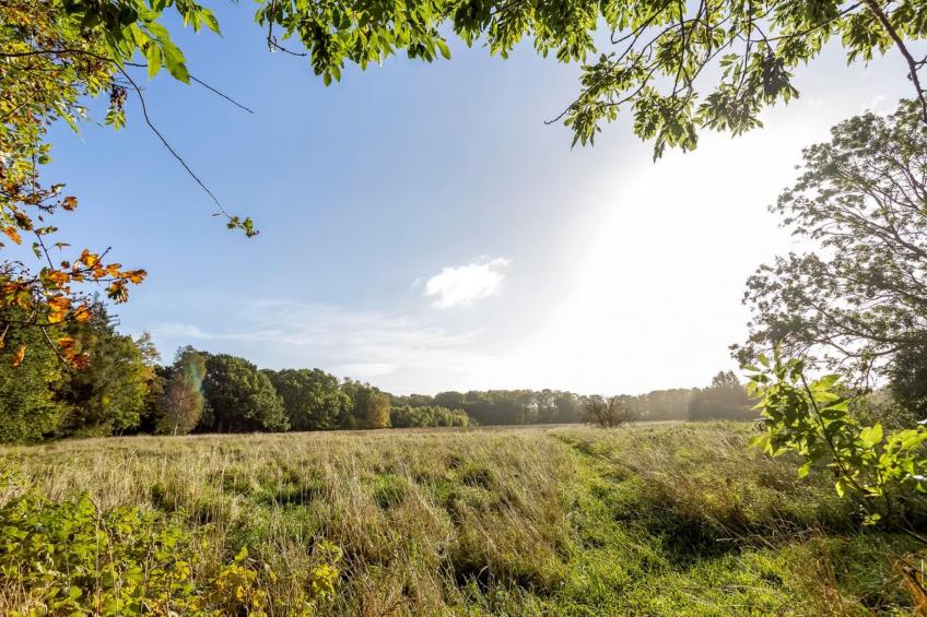 "Cornel" - 300m from the sea - foto 13