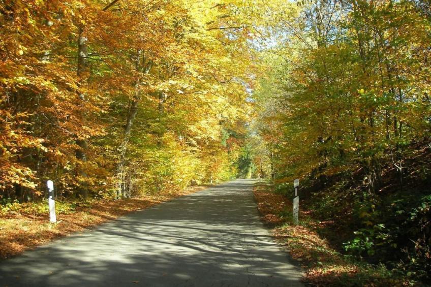 Appartement in Elbersreuth mit Garten - foto 22