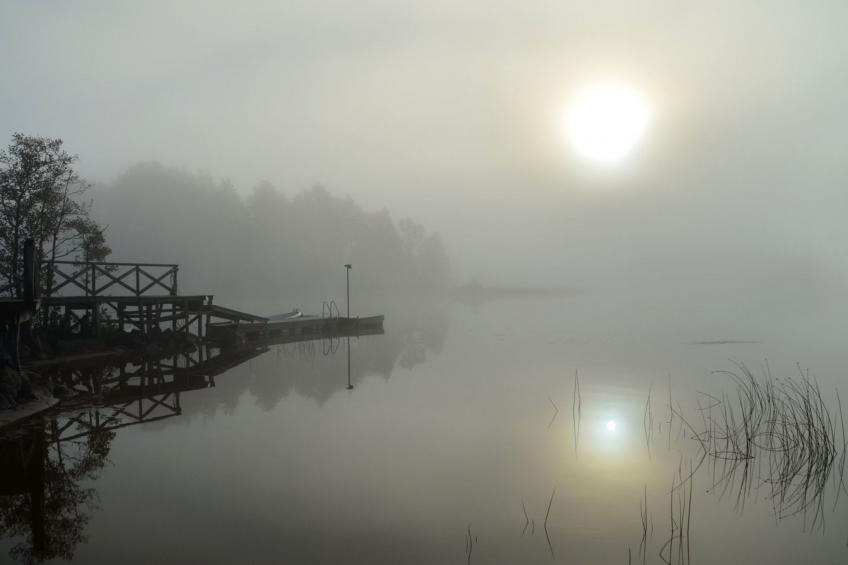 Schwedisches Glück, zwischen Wäldern und einem See - foto 31