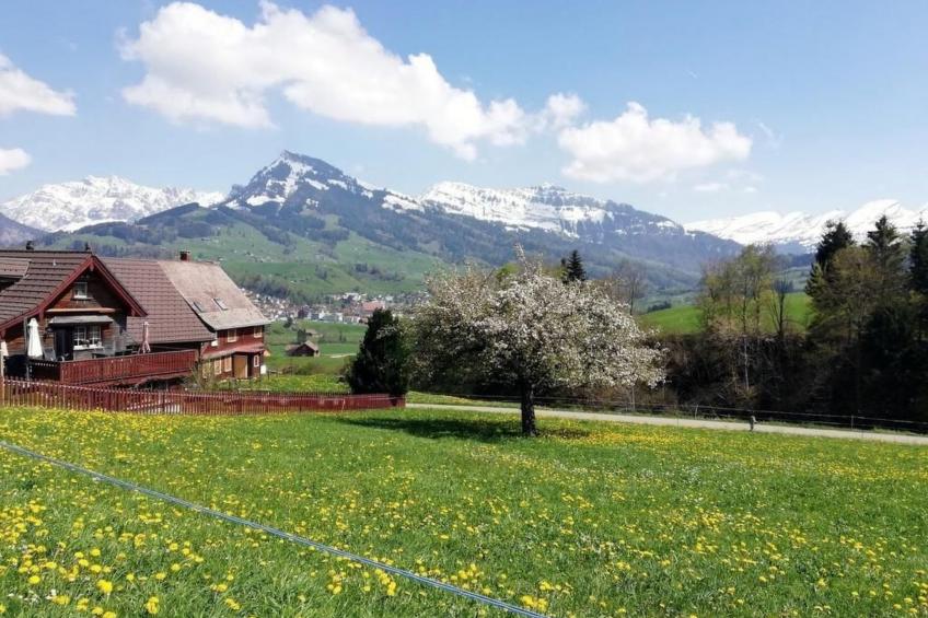 Gemütliche und geräumige Ferienwohnung - foto 10