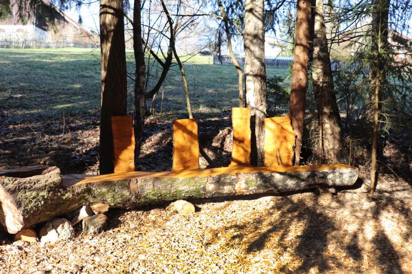 Ferienhaus Mühlberg (SPG101) - foto 19