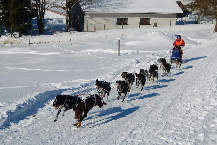 Thüringer Landhaus - foto 29