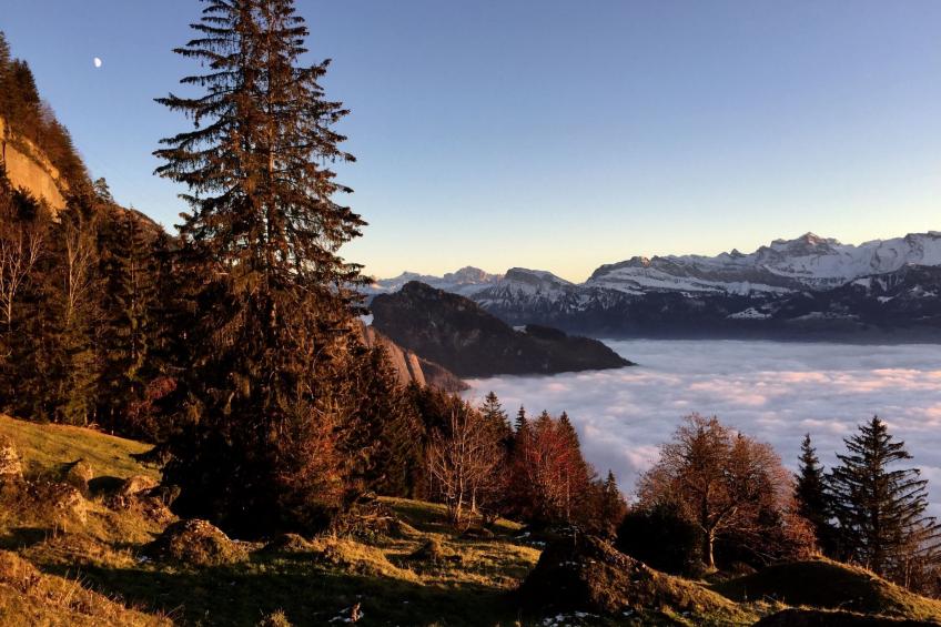 Chalet Bärgblick - foto 32