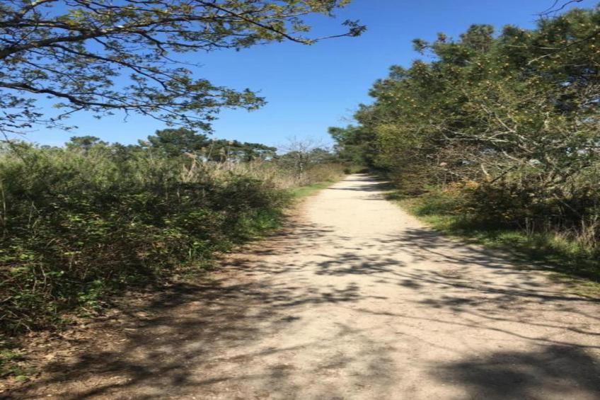 Les Rives Marines - foto 32