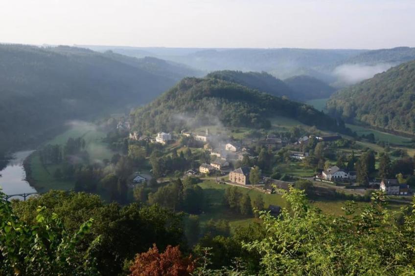 Petit Paliseul - foto 29