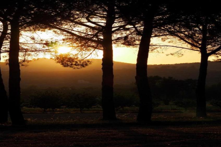 Frantoio 1 - foto 23