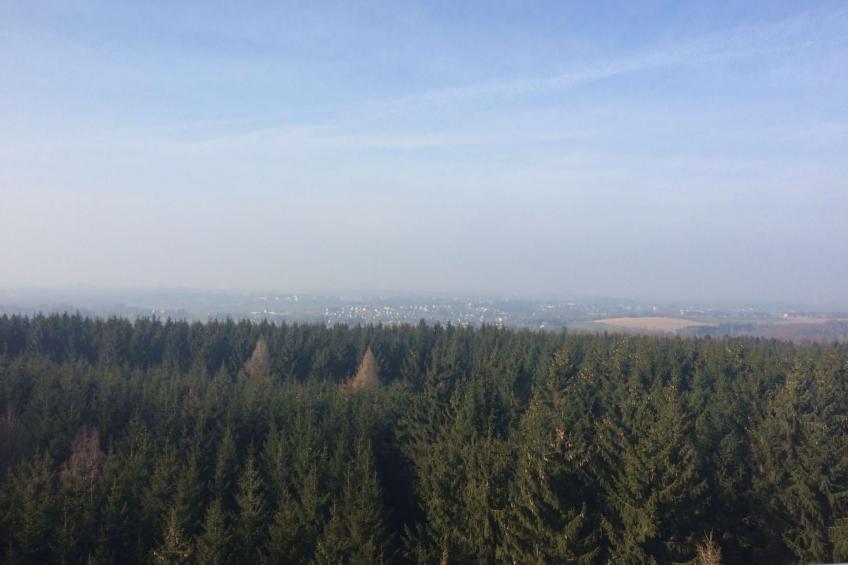 Waldhütte - foto 34