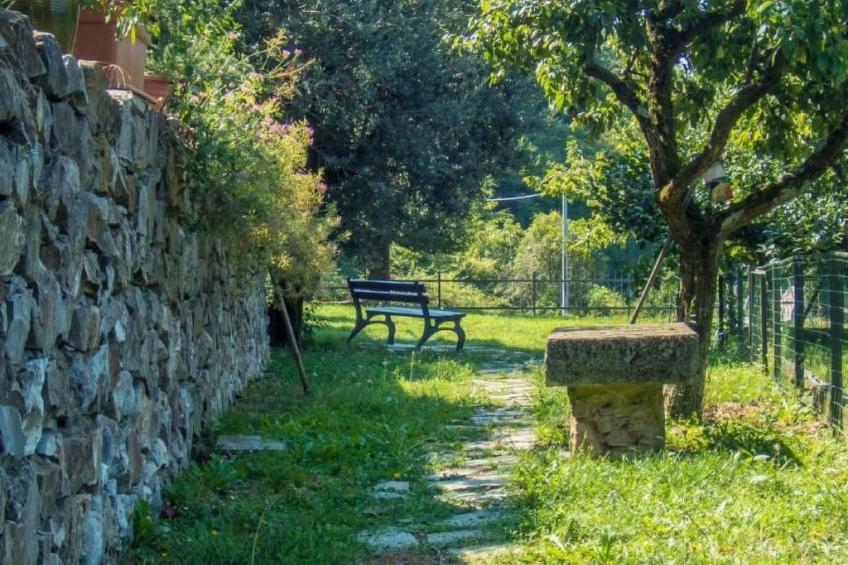 Unabhaengige Wohnung in Velva mit Garten und Grill - foto 21