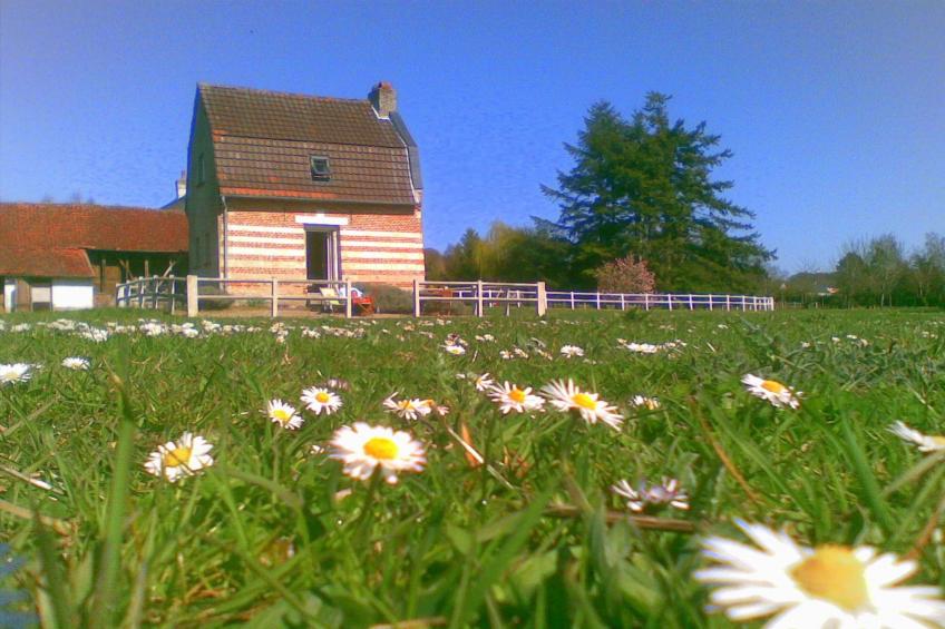 Jolie petite maison Picarde au bord de l'eau - foto 9
