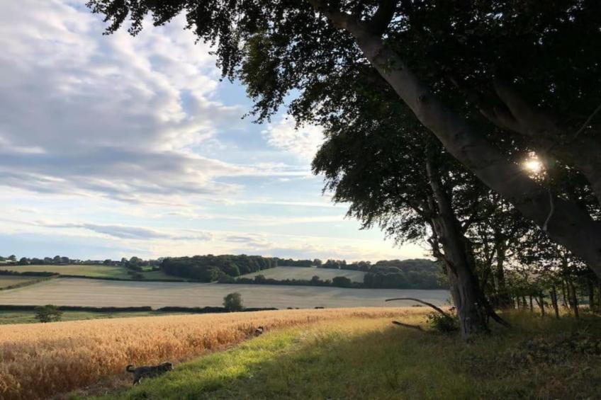 The Herdwick Safari Tent - foto 31