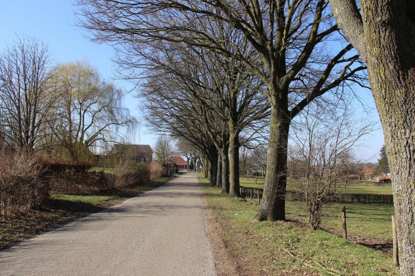 Bernardushoeve - NR15 - foto 38