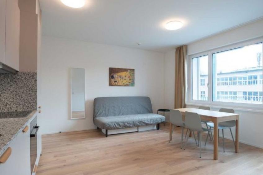 ZH Yellow 5 - Letzigrund HITrental Apartment - foto 12